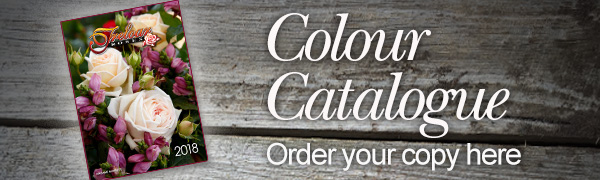 Current Rose Catalogue